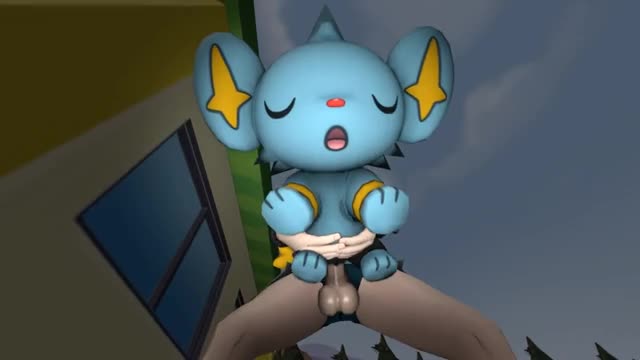 FInding Wild Shinx At Night『bangerofsticks』