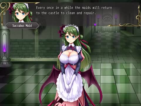 Fr5ut – Succubus Senki, Maid If