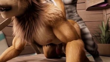 [H0rs3] Animation – Matt Lion And Zebra 120 fps