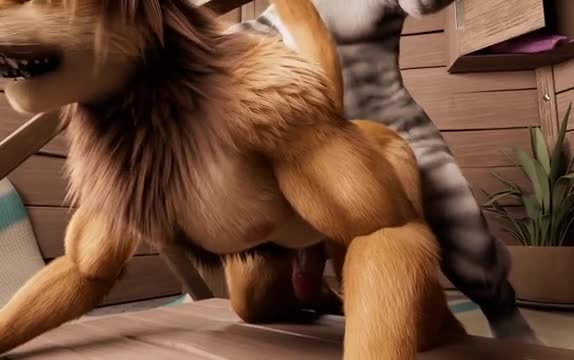 [H0rs3] Animation – Matt Lion And Zebra 120 fps
