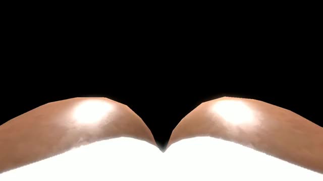 Haydee’s Unaware POV