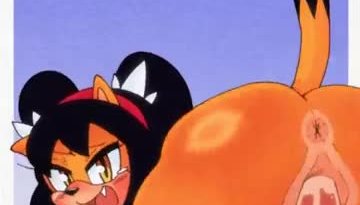 Honey the cat