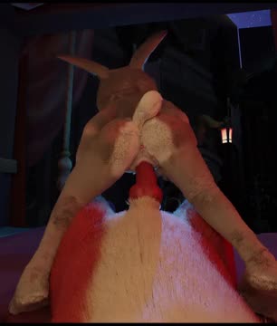 Judy Hopps tries reverse cowgirl on Nick