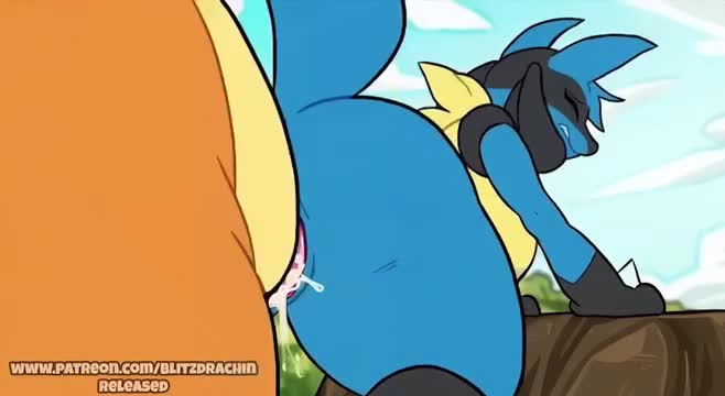 Lucario & Charizard