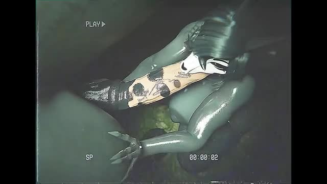 Mal0 has the Horse experience