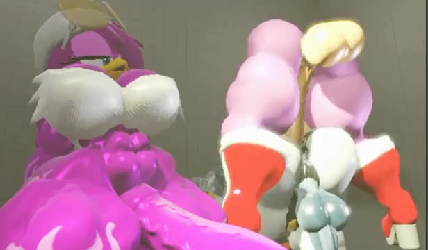 [Megaswitchsfm] Amy, Wave and Tangle 5-B