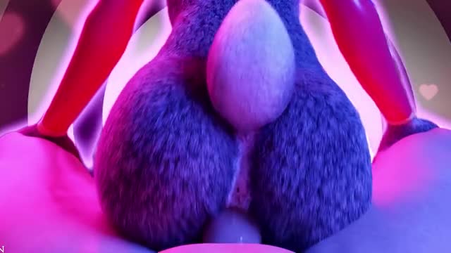 {PMV} Bunny perfection