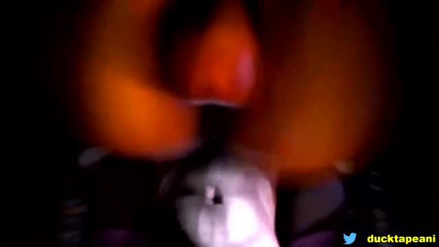Pandaren girl surprises fox