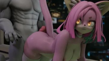 Pink cat