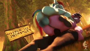 Pony 1