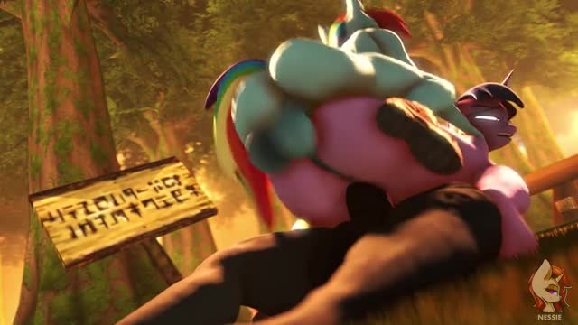 Pony 1
