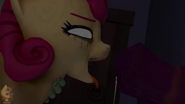 Pony 12