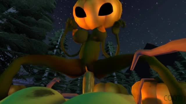 Pumpkin Spirit『coot27』