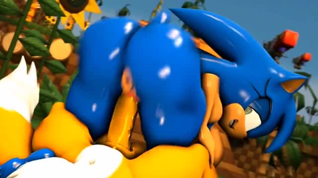 SONIC PMV: Mobians Bitches