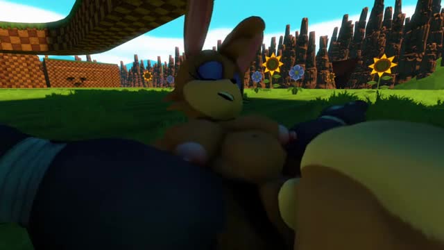 Sally and Bunnie Tribadism