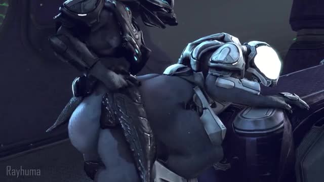 Sangheili boys
