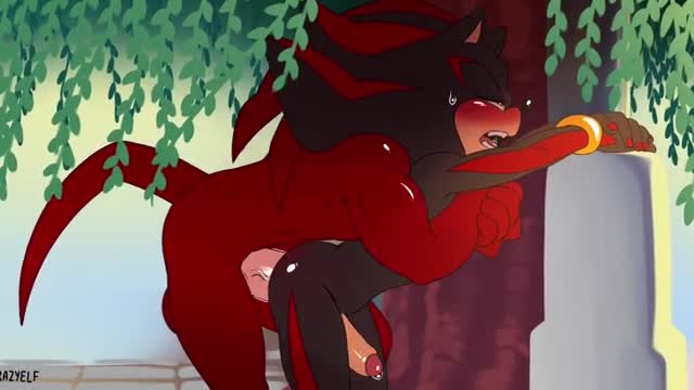 Shadow and Knuckles having some fun