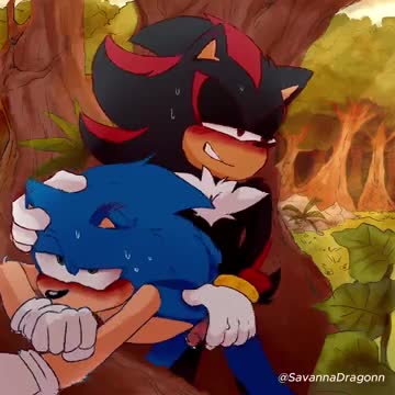Shadow and Sonic [SavannaDragonn]