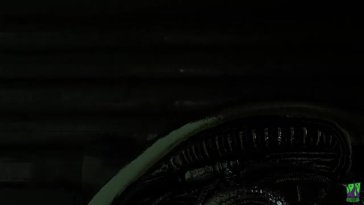 She has fun with an alien