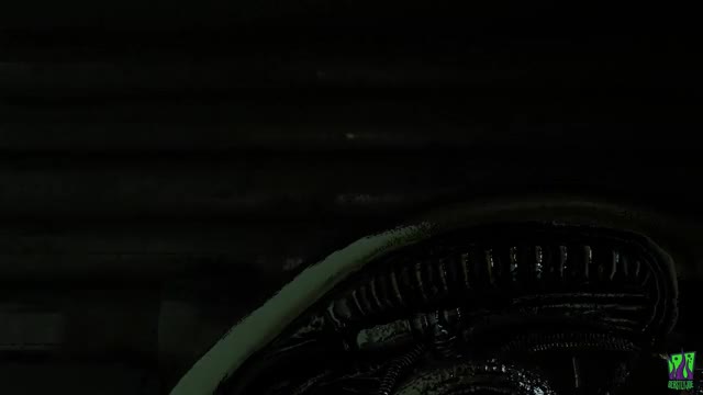 She has fun with an alien