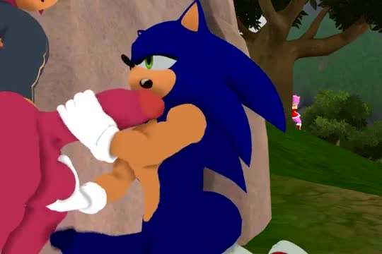 Sonic Cheating Amy