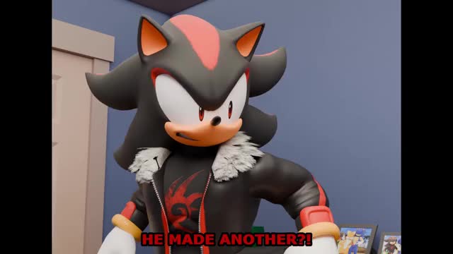 Sonic and Shadow make the most out of of it
