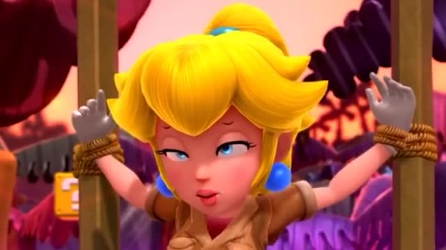 THE PRINCESS BREAKERS [Mario Series HMV]
