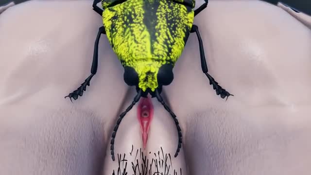 Taiho insect sex