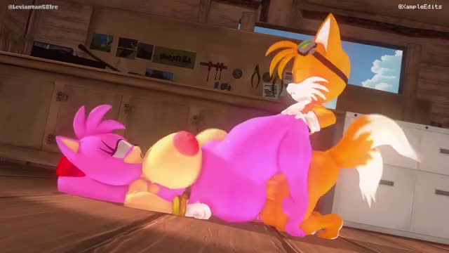 Tails smashing Amy