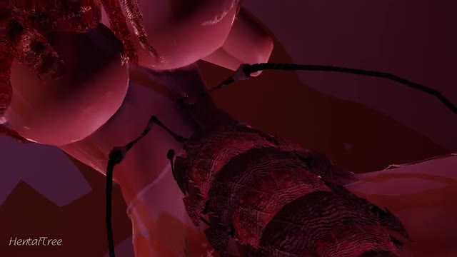 (insect) leisure time with lilia and haku