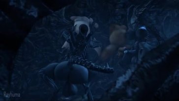2 xenos having their fun