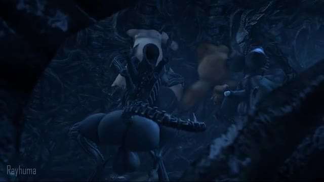 2 xenos having their fun