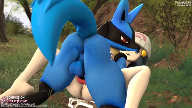 Lucario Bond Development『Gsec』