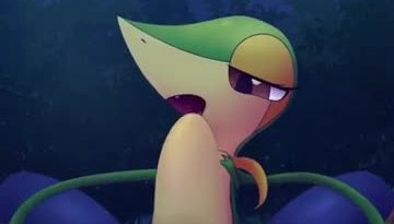 Naughty snivy