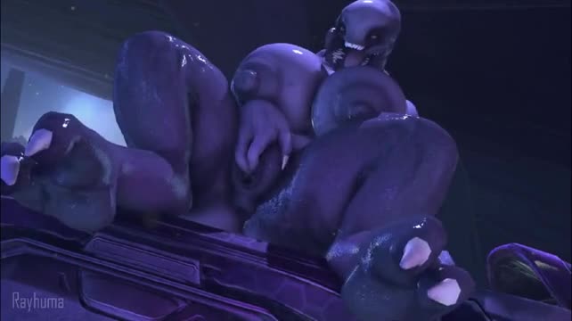Sangheili fingering herslef