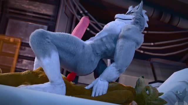 Wolf dominates Fox