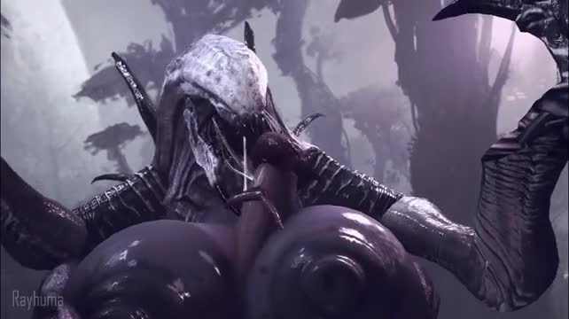 Wraith giving paizuri and tongue job