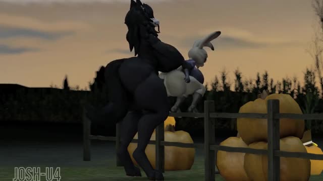 Scp filling judy