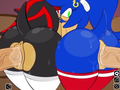 Sonic & Shadow
