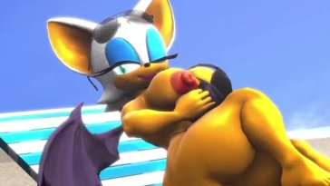 Sonic and Rouge Sex In The Beach