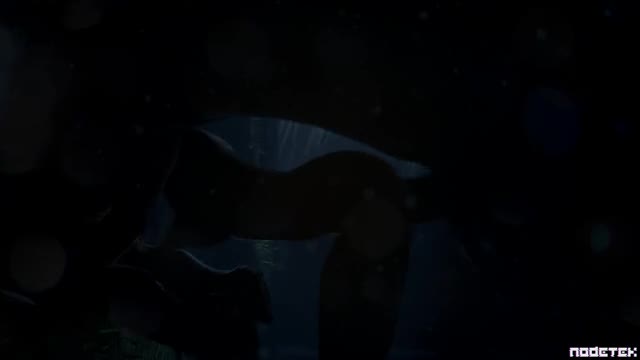 A night in the stables