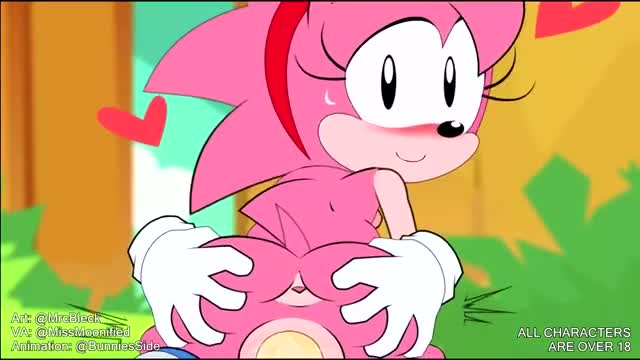 Amy riding sonic