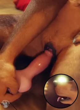 Dog girl masturbates with a dildo