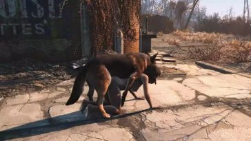 Dog meat and Nora
