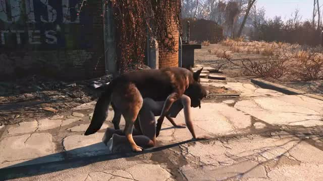 Dog meat and Nora