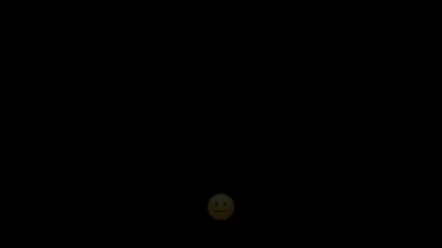 FOXY SHORT EDIT