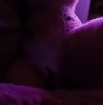 Feline heat