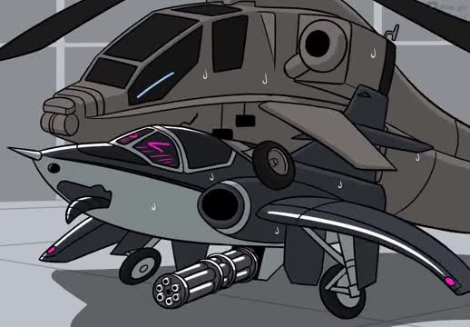 Helicop cock in airplane