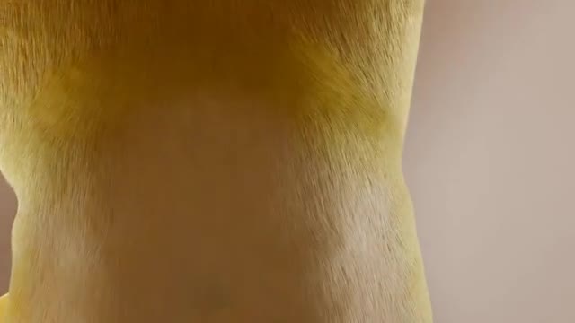 POV Sandy facesitting