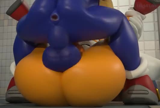 Sonic cums in tails